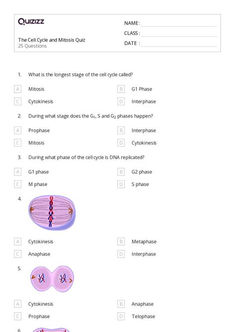 Full Download Cell Cycle Mitosis Quiz Answers Key 