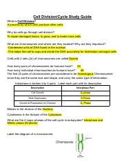 Read Cell Division Study Guide Answer Key 