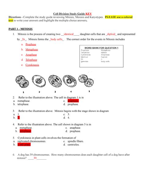 Full Download Cell Division Study Guide Key 