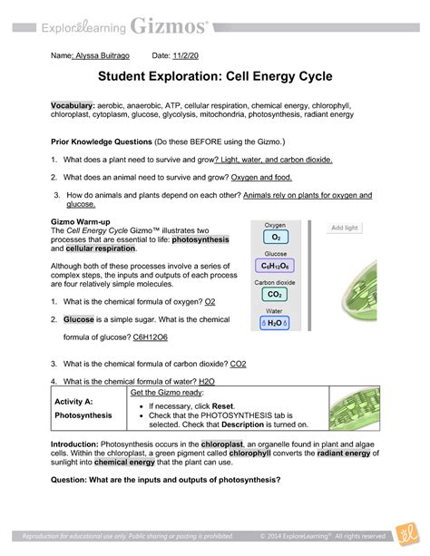Download Cell Energy Cycle Answers 