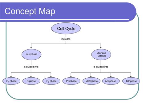 Read Cell Growth And Division Concept Map Answers 