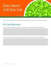 Full Download Cell Size Lab Question Answers 