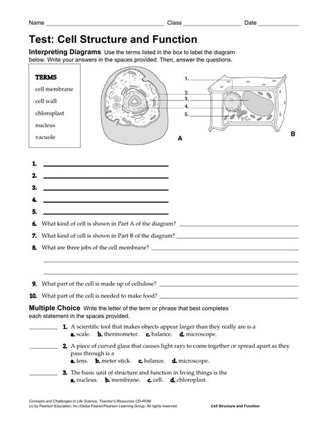 Read Cell Structure And Function Vocabulary Practice Key 