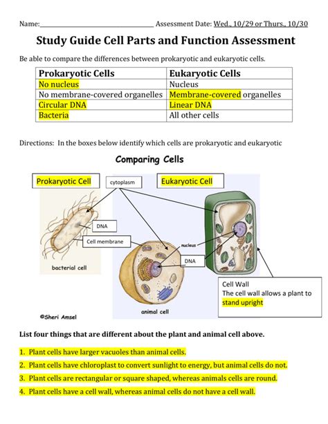 Read Online Cell Structure Study Guide 