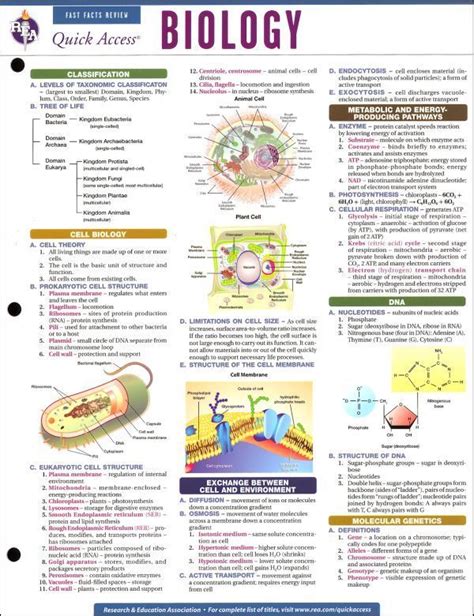 Download Cell Study Guide 9Th Grade 