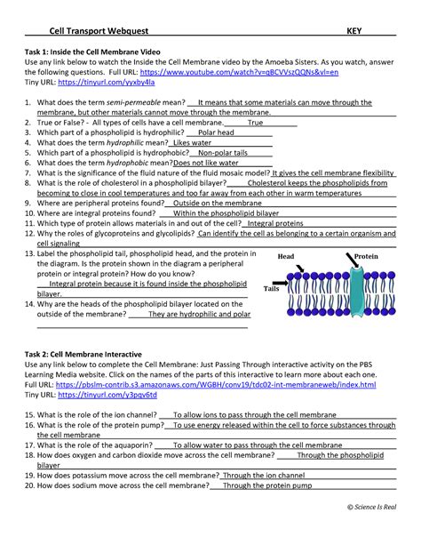 Read Cell Webquest Answers 