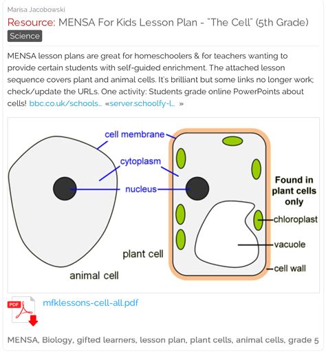 Cells 5th Grade   Lesson Plan Cells Types Of Cells Nagwa - Cells 5th Grade