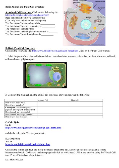 Cells Alive Plant Cell Answer Key Worksheets Kiddy Cell Alive Worksheet Answers - Cell Alive Worksheet Answers