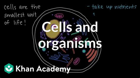Cells And Organisms Article Khan Academy Science Living Things - Science Living Things