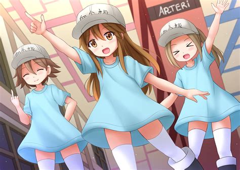 Cells At Work