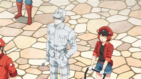 Cells At Work Episode Synopsis