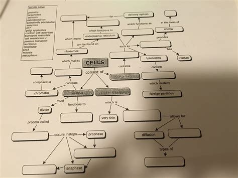 cells concept map answer key