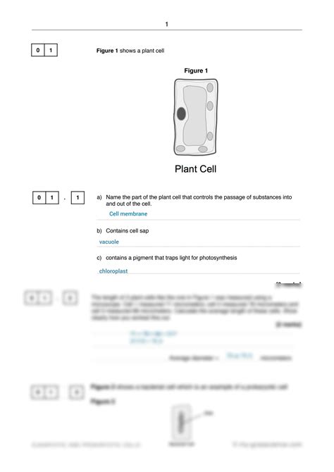 Cells Mark Scheme Longman