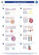Cells Tissues And Organs 5th Grade Science Worksheets Cell Activities For 5th Grade - Cell Activities For 5th Grade