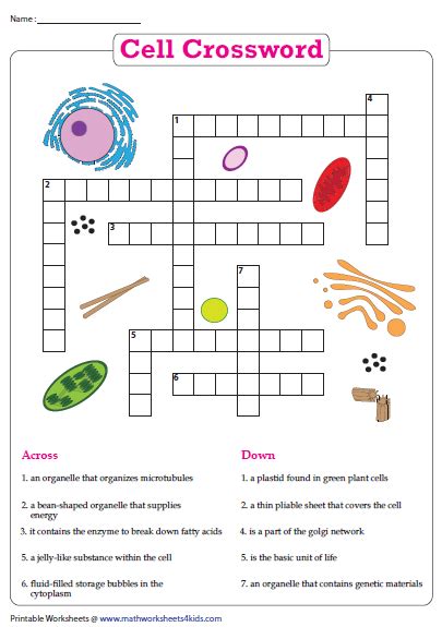Cells Vocabulary Crossword Worksheet For 5th Grade Science Cell Worksheet For 5th Grade - Cell Worksheet For 5th Grade