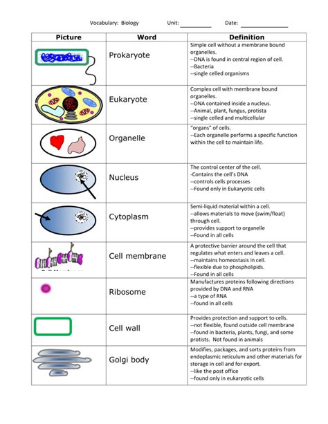 Cells Vocabulary List Amp Definitions Science Cells Worksheet - Science Cells Worksheet