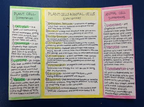 Download Cells And Tonicity Foldable Answers 