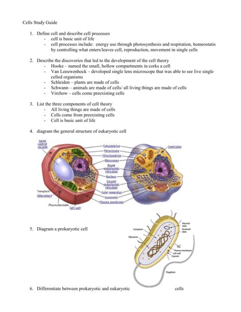 Full Download Cells Study Guide 