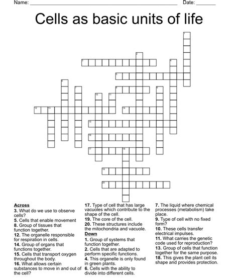 Read Online Cells The Basic Units Of Life Crossword Puzzle Answers 