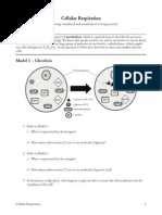 Cellular Communication Pogil Answer Key
