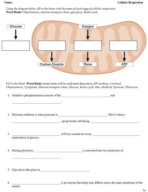 Cellular Respiration Fill In Answer Key