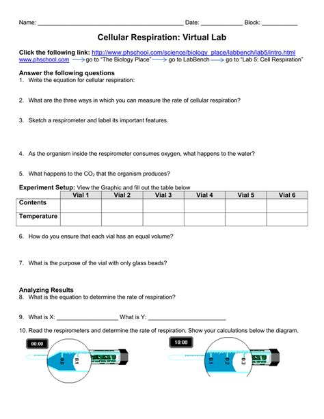 Cellular Respiration Virtual Labs Answer Key