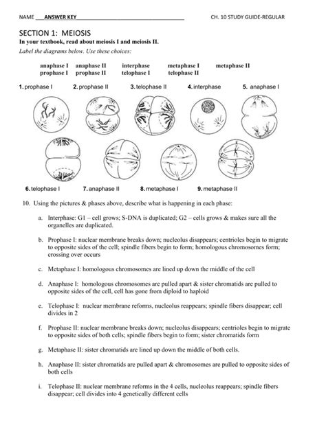 Download Cellular Reproduction Study Guide Answers 
