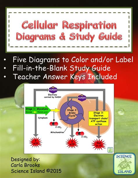 Full Download Cellular Respiration Lab Wards Answers 