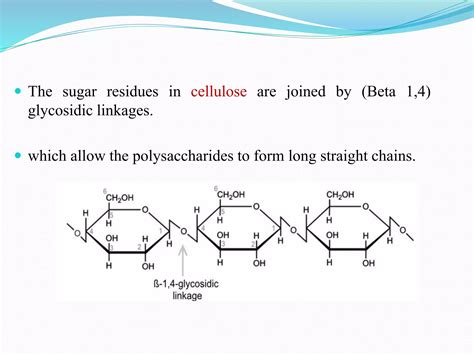 Cellulose Beta 1 4