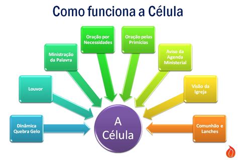 Celula Na Igreja