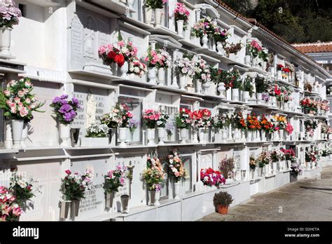 cemetery in spanish