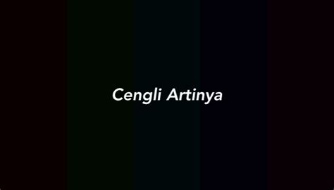 CENGLI ARTINYA - Inilah Arti Kata Cengli Cincai dan Cuan dalam Bahasa Gaul Etnis