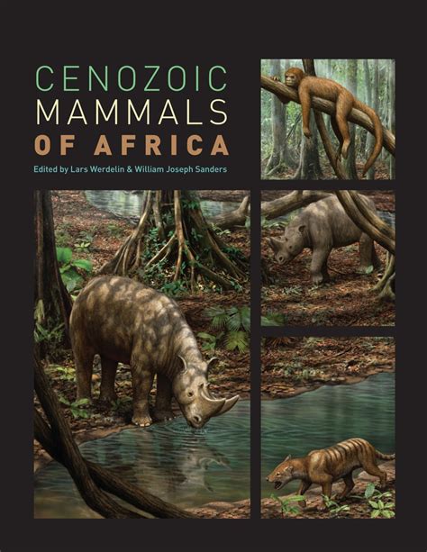 Read Online Cenozoic Mammals Of Africa 