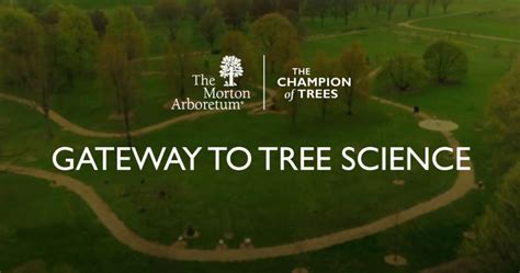 Center For Tree Science The Morton Arboretum Tree Science - Tree Science