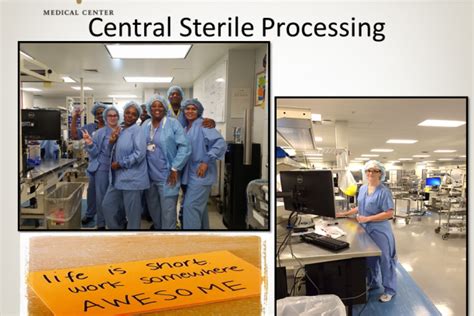 Download Central Sterile Processing Study Guide 