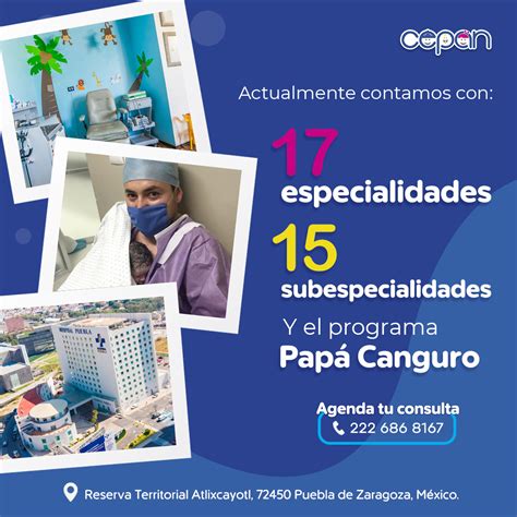 premier bet: Apostas Desportivas Online com Garantia de Segurança Financeira para Todos os Jogadores - Foto 2