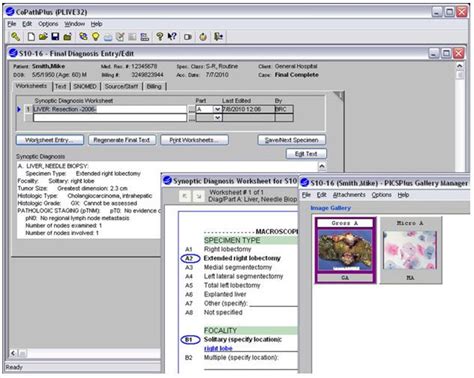 Cerner Copath Manual
