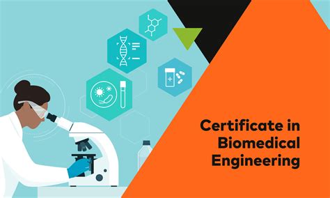 Certification Of Biomedical Engineering Technicians And Springer