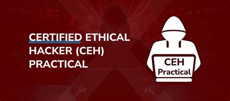 Download Certified Ethical Hacker Practical Guide V7 