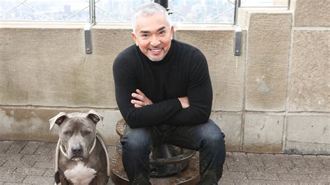 cesarmillan - Dogtraining - reddit