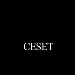 ceset filmi 2015 Yandex.