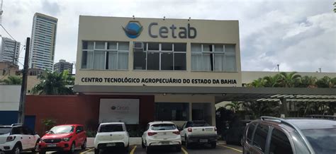 up bet: Apostas Desportivas Online Seguras e Com Proteção de Fundos para Todos os Jogadores - Foto 2