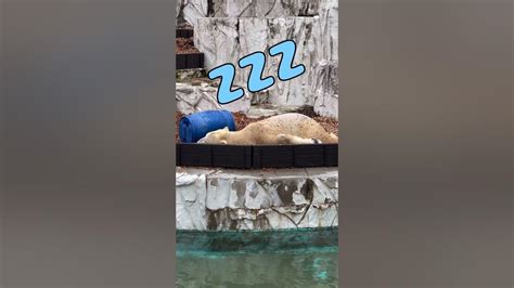 bet7k: Como Apostar nas Apostas Desportivas Online com Garantia de Segurança e Proteção - Foto 2