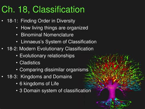 Ch 18 Classification Study Island Answers