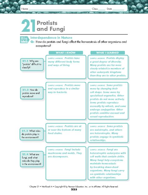 Ch 21 Fungi Answer Key