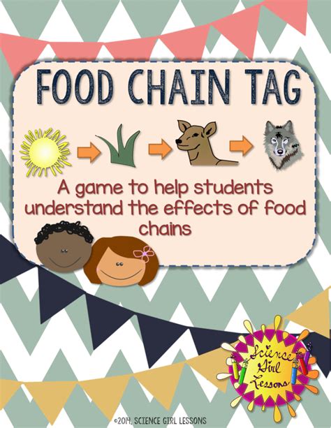 Chain Tag Activity Education Com Food Chain 1st Grade - Food Chain 1st Grade