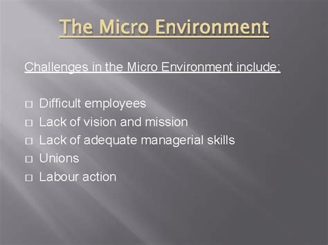 Challenges Of The Micro Environment Grade 11