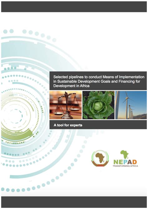 Download Challenges And Prospects In The Implementation Of Nepad 