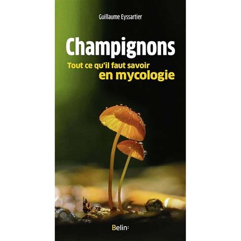 champignons tout ce qu il faut savoir en mycologi