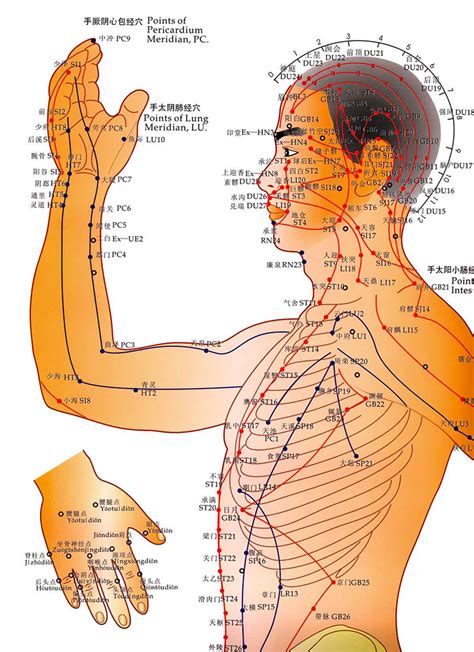 Channels Of Acupuncture